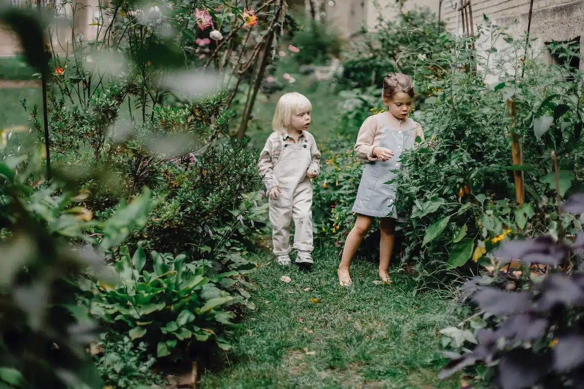 enfants potager