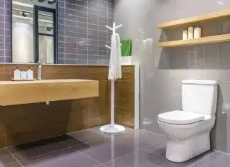 Quelle couleur mettre au mur WC ?