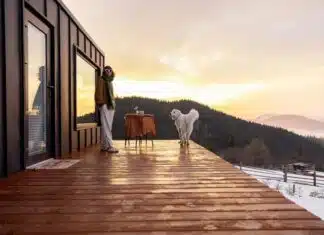 Prix d’une tiny house : quel budget prévoir ?