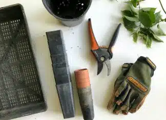 Les 20 instruments de jardinage les plus importants à avoir